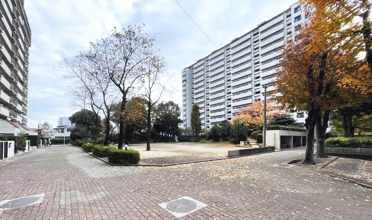 �p�[�N�V�e�B����A�� �����}���V����